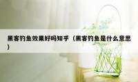 黑客钓鱼效果好吗知乎（黑客钓鱼是什么意思）