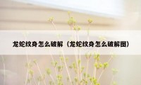 龙蛇纹身怎么破解（龙蛇纹身怎么破解图）