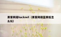 黑客网络hacknet（黑客网络蓝屏后怎么玩）