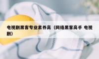 电视剧黑客专业素养高（网络黑客高手 电视剧）