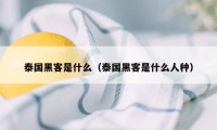 泰国黑客是什么（泰国黑客是什么人种）