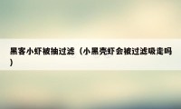 黑客小虾被抽过滤（小黑壳虾会被过滤吸走吗）