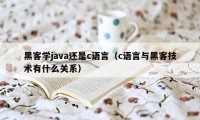 黑客学java还是c语言（c语言与黑客技术有什么关系）