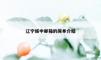 辽宁绥中邮箱的简单介绍