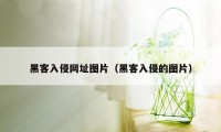 黑客入侵网址图片（黑客入侵的图片）