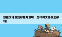 想把文件发到邮箱咋发呢（怎样将文件发至邮箱）