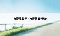 电影黑客行（电影黑客行动）