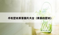 手机壁纸黑客图片大全（黑客的壁纸）