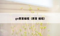 go黑客编程（黑客 编程）