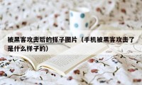 被黑客攻击后的样子图片（手机被黑客攻击了是什么样子的）