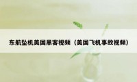 东航坠机美国黑客视频（美国飞机事故视频）