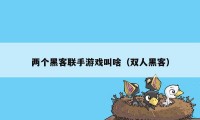 两个黑客联手游戏叫啥（双人黑客）