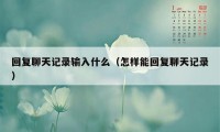 回复聊天记录输入什么（怎样能回复聊天记录）