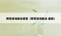 辉哥游戏解说黑客（辉哥游戏解说 最新）