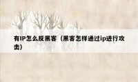 有IP怎么反黑客（黑客怎样通过ip进行攻击）