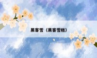 黑客雪（黑客雪糕）