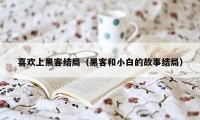 喜欢上黑客结局（黑客和小白的故事结局）