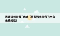 黑客猫咪带我飞txt（黑客妈咪带我飞全文免费阅读）