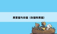 黑客猫与白猫（白猫和黑猫）