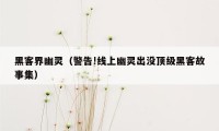 黑客界幽灵（警告!线上幽灵出没顶级黑客故事集）