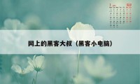 网上的黑客大叔（黑客小电脑）