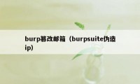 burp篡改邮箱（burpsuite伪造ip）